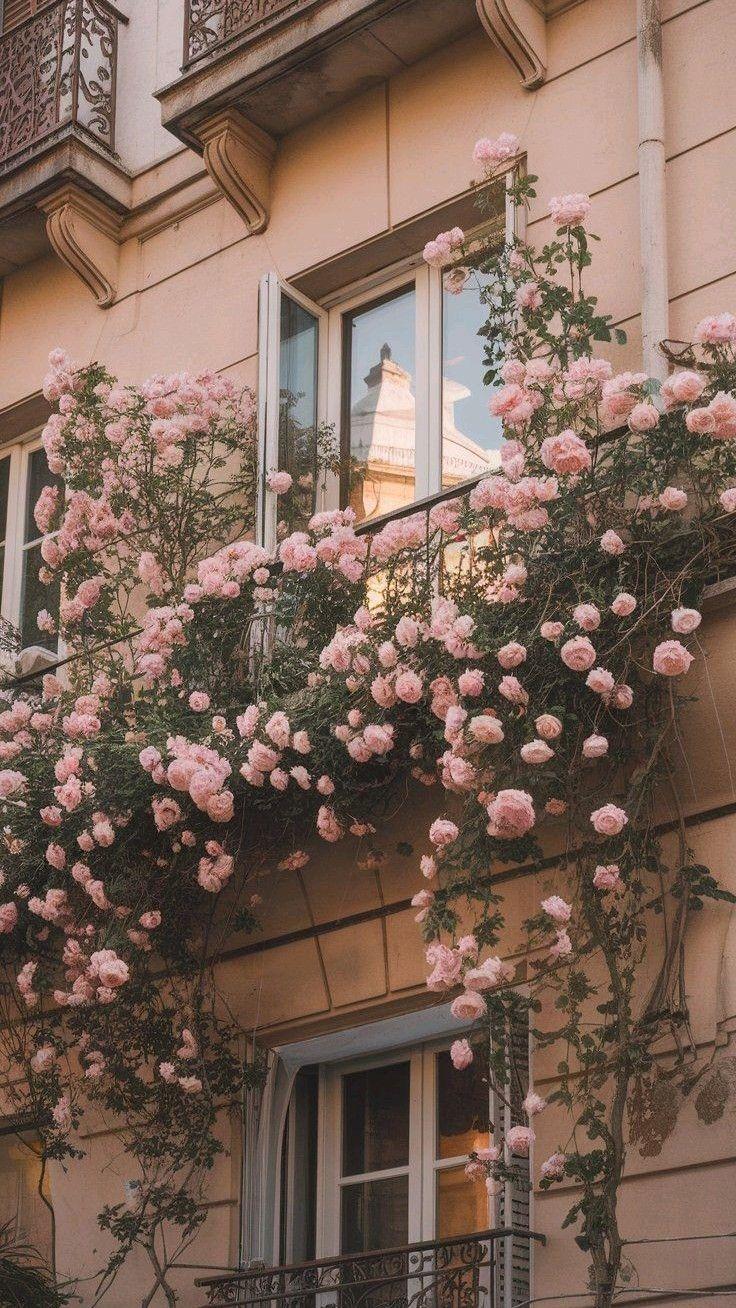 Mirror Light House Way workshop space where corporate flower arrangements are designed and prepared for business delivery